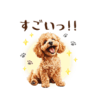 一年中使える♪トイプードルの毎日スタンプ（個別スタンプ：20）
