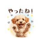 一年中使える♪トイプードルの毎日スタンプ（個別スタンプ：21）