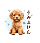 一年中使える♪トイプードルの毎日スタンプ（個別スタンプ：23）