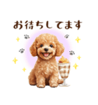 一年中使える♪トイプードルの毎日スタンプ（個別スタンプ：25）