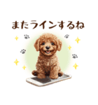 一年中使える♪トイプードルの毎日スタンプ（個別スタンプ：26）