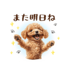 一年中使える♪トイプードルの毎日スタンプ（個別スタンプ：31）