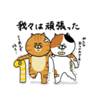 ねこ好きさんの為のねこ年スタンプ2（個別スタンプ：10）