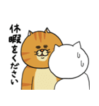 ねこ好きさんの為のねこ年スタンプ2（個別スタンプ：37）