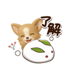 チワワ 犬スタンプ（3D）冬・あけおめ（個別スタンプ：2）
