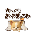 チワワ 犬スタンプ（3D）冬・あけおめ（個別スタンプ：10）