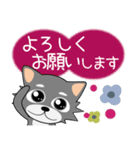 こんにチワワ★年末年始（再販）（個別スタンプ：4）