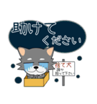 こんにチワワ★年末年始（再販）（個別スタンプ：6）