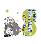 こんにチワワ★年末年始（再販）（個別スタンプ：13）