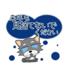 こんにチワワ★年末年始（再販）（個別スタンプ：15）