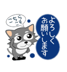 こんにチワワ★年末年始（再販）（個別スタンプ：33）