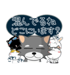 こんにチワワ★年末年始（再販）（個別スタンプ：37）