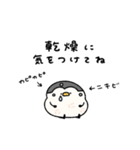 へんてこなペンギンのまったりな冬（個別スタンプ：15）