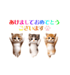 踊る！ネコたちのあけおめスタンプ【再販】（個別スタンプ：1）