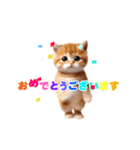 踊る！ネコたちのあけおめスタンプ【再販】（個別スタンプ：11）