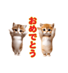 踊る！ネコたちのあけおめスタンプ【再販】（個別スタンプ：15）