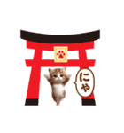 踊る！ネコたちのあけおめスタンプ【再販】（個別スタンプ：17）