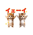 踊る！ネコたちのあけおめスタンプ【再販】（個別スタンプ：24）