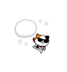 飛び出す！グラサンキャット＠お正月/再販（個別スタンプ：20）