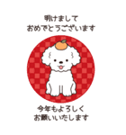 やさしいトイプー『年末年始2026』4（個別スタンプ：1）