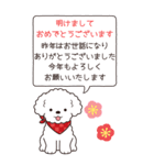 やさしいトイプー『年末年始2026』4（個別スタンプ：4）
