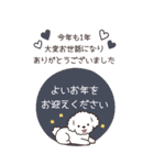 やさしいトイプー『年末年始2026』4（個別スタンプ：5）