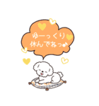 やさしいトイプー『年末年始2026』4（個別スタンプ：13）