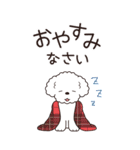 やさしいトイプー『年末年始2026』4（個別スタンプ：16）