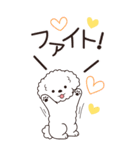 やさしいトイプー『年末年始2026』4（個別スタンプ：22）