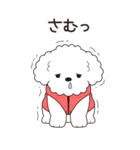 やさしいトイプー『年末年始2026』4（個別スタンプ：29）