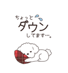 やさしいトイプー『年末年始2026』4（個別スタンプ：30）