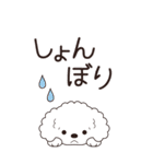 やさしいトイプー『年末年始2026』4（個別スタンプ：31）