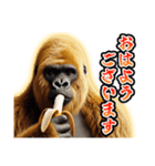 【⚡飛び出す⚡】お祝い黄金イケメンゴリラ（個別スタンプ：9）