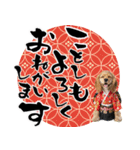 アメコカ子犬の晴れ着スタンプ♡2026お正月（個別スタンプ：2）