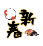 アメコカ子犬の晴れ着スタンプ♡2026お正月（個別スタンプ：7）