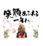 アメコカ子犬の晴れ着スタンプ♡2026お正月（個別スタンプ：10）