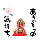 アメコカ子犬の晴れ着スタンプ♡2026お正月（個別スタンプ：13）