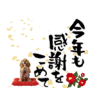 アメコカ子犬の晴れ着スタンプ♡2026お正月（個別スタンプ：16）