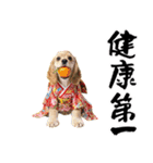 アメコカ子犬の晴れ着スタンプ♡2026お正月（個別スタンプ：17）