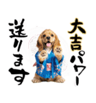 アメコカ子犬の晴れ着スタンプ♡2026お正月（個別スタンプ：19）