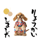 アメコカ子犬の晴れ着スタンプ♡2026お正月（個別スタンプ：20）