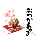 アメコカ子犬の晴れ着スタンプ♡2026お正月（個別スタンプ：21）