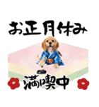 アメコカ子犬の晴れ着スタンプ♡2026お正月（個別スタンプ：23）