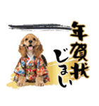 アメコカ子犬の晴れ着スタンプ♡2026お正月（個別スタンプ：24）