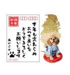 アメコカ子犬の晴れ着スタンプ♡2026お正月（個別スタンプ：25）