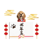 アメコカ子犬の晴れ着スタンプ♡2026お正月（個別スタンプ：26）