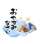 アメコカ子犬の晴れ着スタンプ♡2026お正月（個別スタンプ：28）