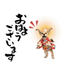 アメコカ子犬の晴れ着スタンプ♡2026お正月（個別スタンプ：29）