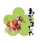 アメコカ子犬の晴れ着スタンプ♡2026お正月（個別スタンプ：32）
