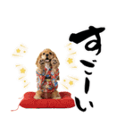 アメコカ子犬の晴れ着スタンプ♡2026お正月（個別スタンプ：33）